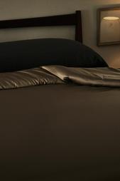 (300 THREAD COUNT) SATEEN DUVET COVER